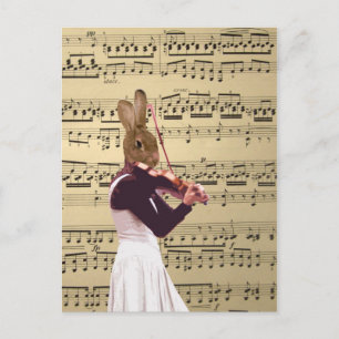 Funny bunny rabbit violinist postcard