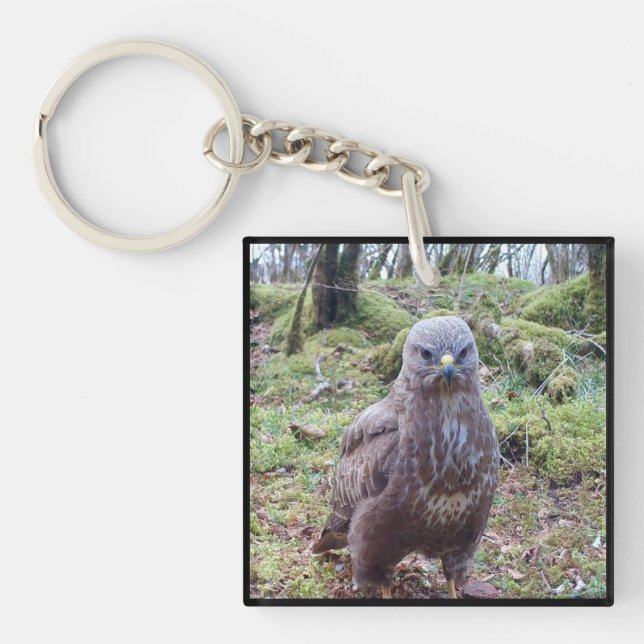 Funny Buzzard Attitude Fierce Wild Bird of Prey  Key Ring (Front)