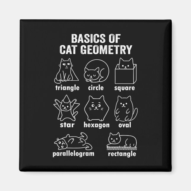 Funny Bysics Of Cat Geometry Byck To School Math T Magnet (Front)