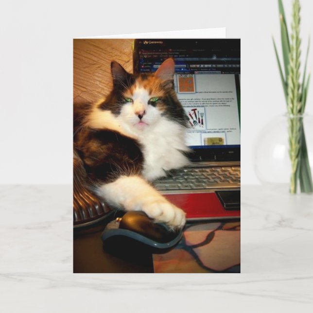 Funny Calico Cat Greeting Card (Front)