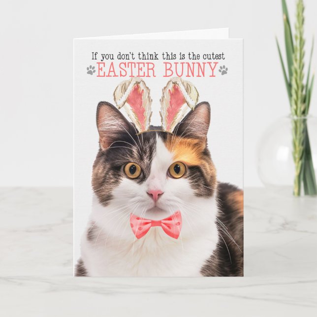 Funny Calico Cat in Bunny Ears for Easter Holiday Card (Front)