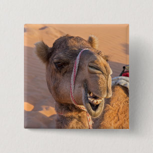 Funny Camel 15 Cm Square Badge