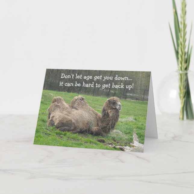 Funny Camel Birthday Card (Front)