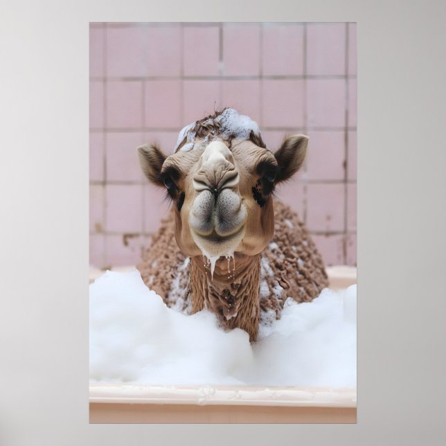 Funny Camel Bubble Bath Art, Whimsical Animal Poster (Front)