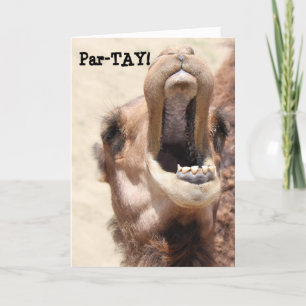 Funny Camel Card, PAR-TAY like its your birthday! Card