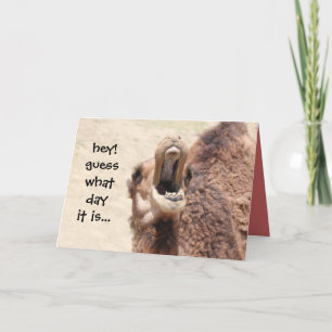 Funny Camel Hump Day Easter Card (pink)