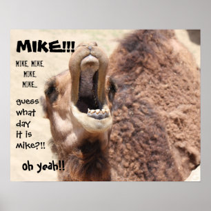 Funny Camel "hump day"  Guess what day it is MIKE! Poster