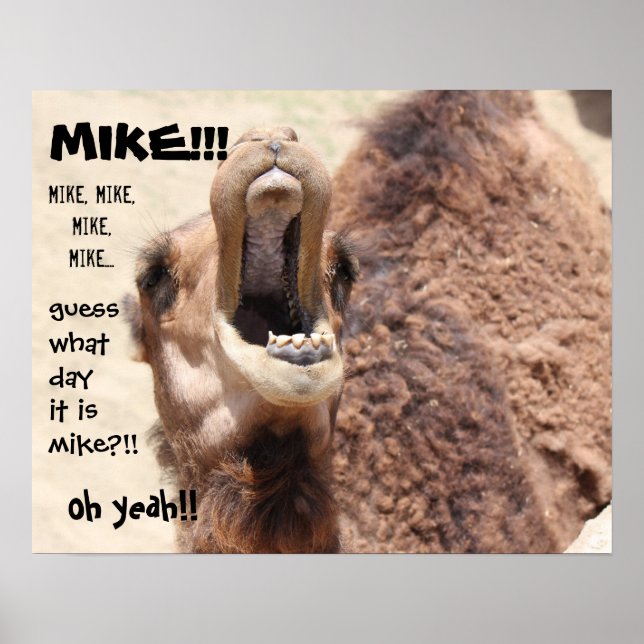 Funny Camel "hump day"  Guess what day it is MIKE! Poster (Front)