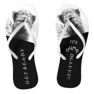 Funny Camel Hump Day Photo Flip Flops