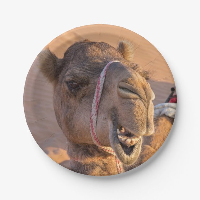 Funny Camel Paper Plate (Front)