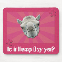Funny Camel Retro Sunburst and Flowers Hump Day