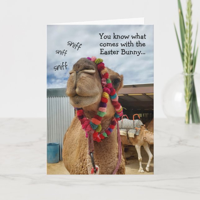 Funny Camel Waits For Bunny Easter Card (Front)