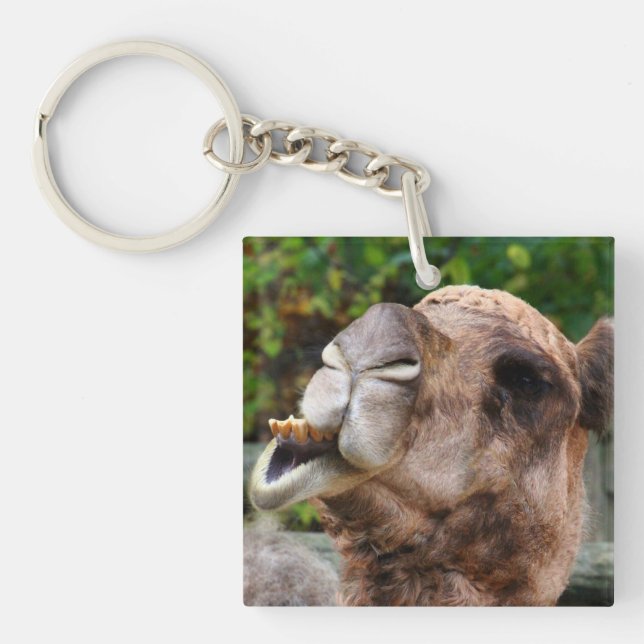 Funny Camel Wildlife Animal Photo Key Ring (Front)