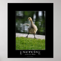 Funny Canada Goose Gosling Exercise Demotivational