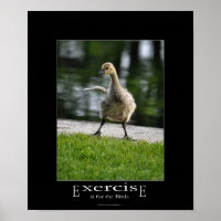Funny Canada Goose Gosling Exercise Demotivational