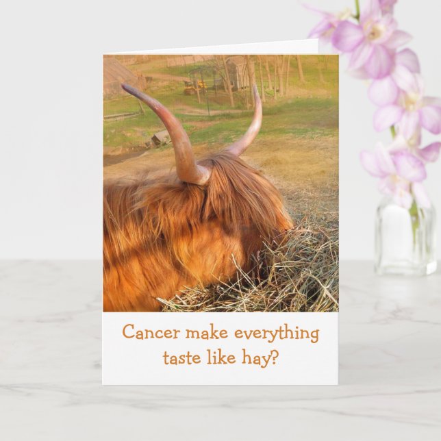 Funny Cancer Cattle Get Well Card (Orchid)