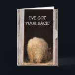 Funny Cancer Encouragement Sheep Card<br><div class="desc">Cancer patients need some laughs,  and this card should do the trick. Funny image of a sheep with a message of kindness and support. Personalise with your own special greeting. Many thanks for looking and hope you enjoy. Photo ©Christine Greenspan</div>