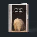 Funny Cancer Encouragement Sheep Card<br><div class="desc">Cancer patients need some laughs,  and this card should do the trick. Funny image of a sheep with a message of kindness and support. Personalise with your own special greeting. Many thanks for looking and hope you enjoy. Photo ©Christine Greenspan</div>