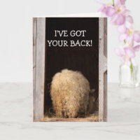 Funny Cancer Encouragement Sheep