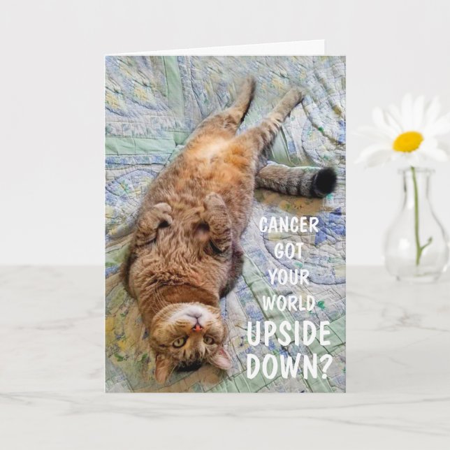 Funny Cancer Upside Down Cat Support Card (Small Plant)