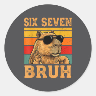 Funny Capybara 67 Meme Six Seven Bruh Boys Teens K Classic Round Sticker