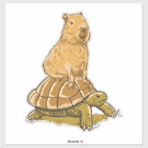Funny Capybara Animal Turtle Cute Capybara