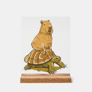 Funny Capybara Animal Turtle Cute Capybara Acrylic Sign