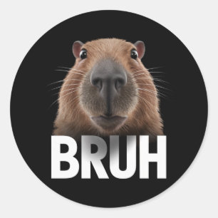 Funny Capybara Bruh  Classic Round Sticker