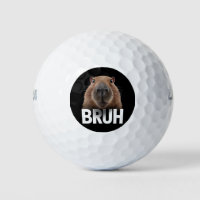 Funny Capybara Bruh 