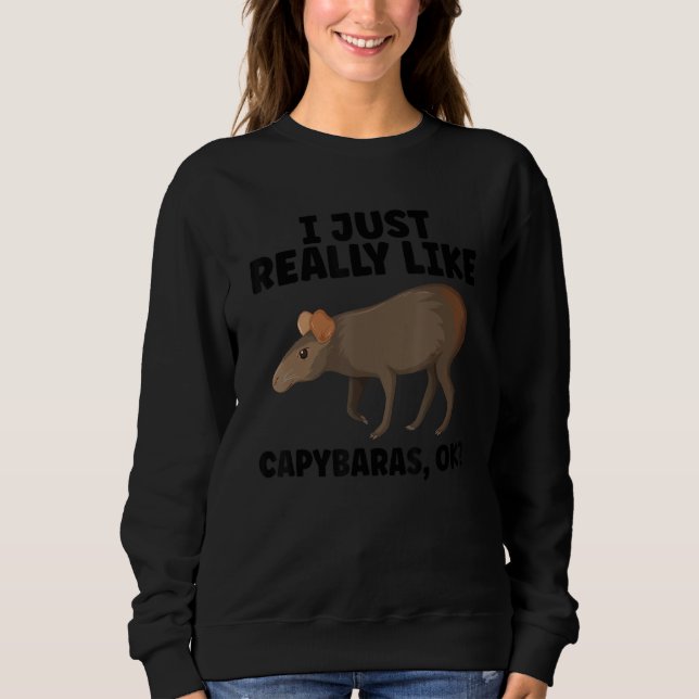 Funny Capybara Design For Pet Owner Cool Capybara  Sweatshirt (Front)