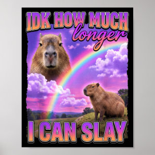 Funny Capybara Meme Idk How Much Longer I Can Slay Poster