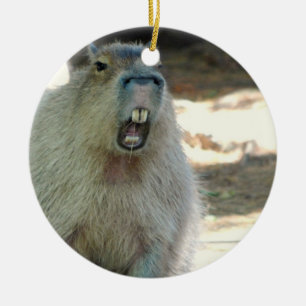 Funny Capybara  Ornament