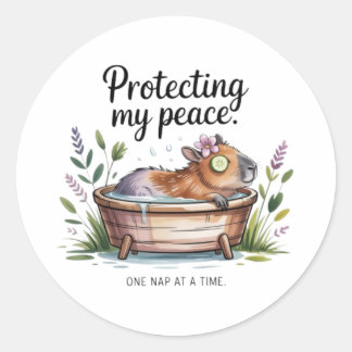 Funny Capybara Self Care Sticker - Protecting My P