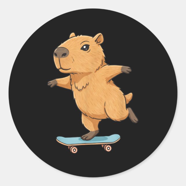 Funny Capybara Skater Skateboard Ballerina Zoo Boy Classic Round Sticker (Front)