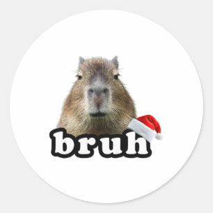 Funny Capyra Christmas Classic Round Sticker