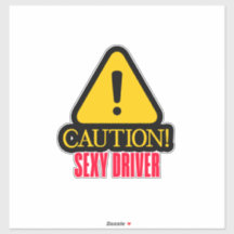 Funny Car Bumper Sticker Sign Caution