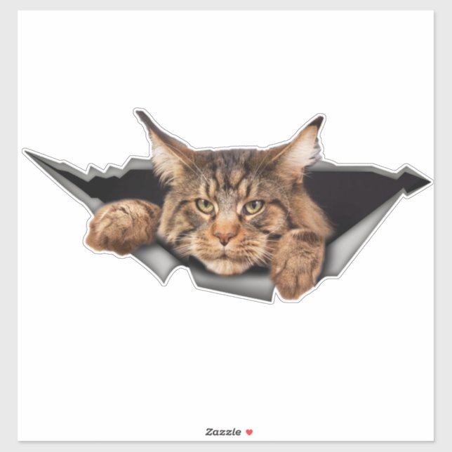 Funny Car Stickers, Car Stickers and Decals (Sheet)