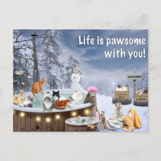 Funny Card Showing Cats Relaxing In Hot Tub