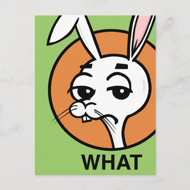 FUNNY CARTOON STYLE RABBIT POSTCARD (Front)