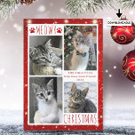 Funny Cat 4 Photo Collage MEOWY CHRISTMAS Red Holiday Card<br><div class="desc">Funny cat photo holiday greeting card featuring 4 pictures with the greeting MEOWY CHRISTMAS (or your custom greeting) in modern hand-lettered typography accented with cat paw prints against a white and red background with lights and stars. ASSISTANCE: For help with design modification or personalisation, colour change, resizing, transferring the design...</div>