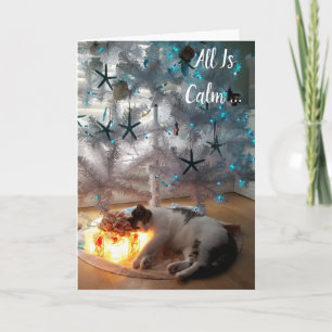 Funny Cat All Is Calm Christmas Card