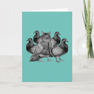 funny cat amongst the pigeons holiday card
