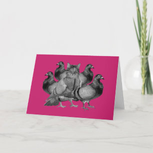 funny cat amongst the pigeons holiday card