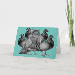 funny cat amongst the pigeons holiday card