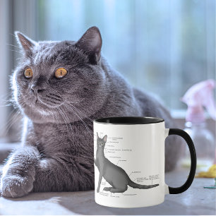 Funny Cat Anatomy Diagram Humour Nerdy Mug