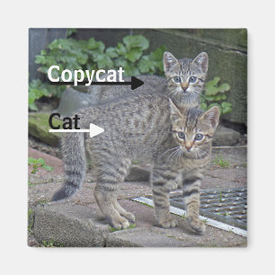 Funny Cat and Copycat Photograph Magnet
