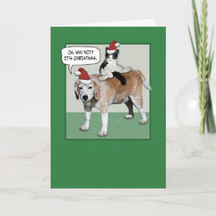 Funny Cat and Dog Christmas Holiday Card