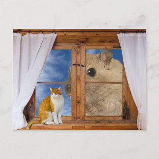 Funny Cat and Mouse Postcard