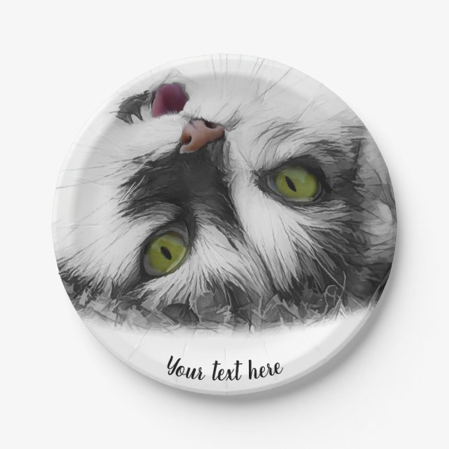 Funny Cat attractive Paper Plate (Front)