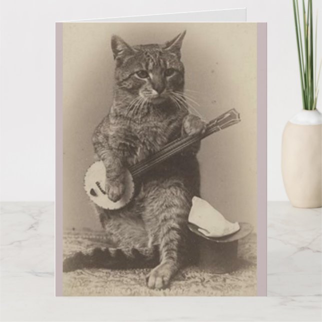 FUNNY CAT BANJO BIRTHDAY CARD (Front)